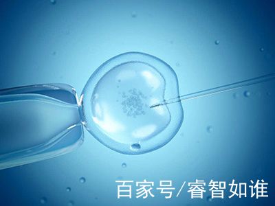 42岁高龄成功案例